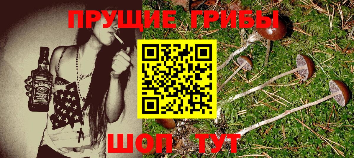 Галлюциногенные грибы ЛСД  Вход с VPN  Лысьва 